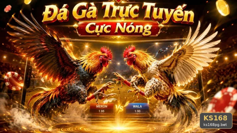 Đá Gà KS168: Nhận Diện Lỗi Phổ Biến Và Xử Lý Có Trách Nhiệm Qua Dữ Liệu Phiên Chơi – ks168pg.bet